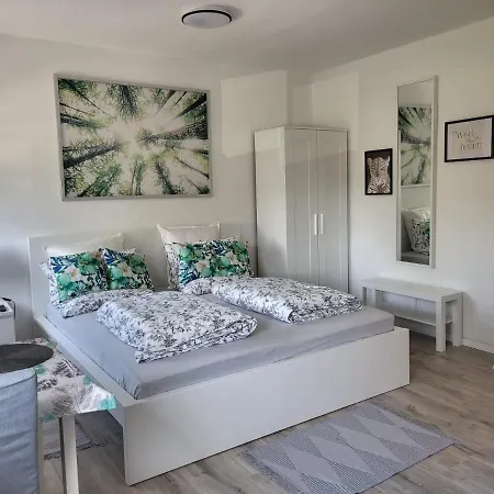 A Comfortable And Modern Newly Renovated Apartment Mannheim