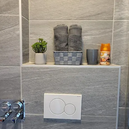 A Comfortable And Modern Newly Renovated Mannheim