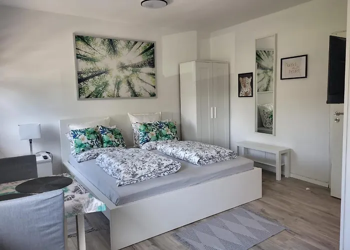 A Comfortable And Modern Newly Renovated Lägenhet Mannheim