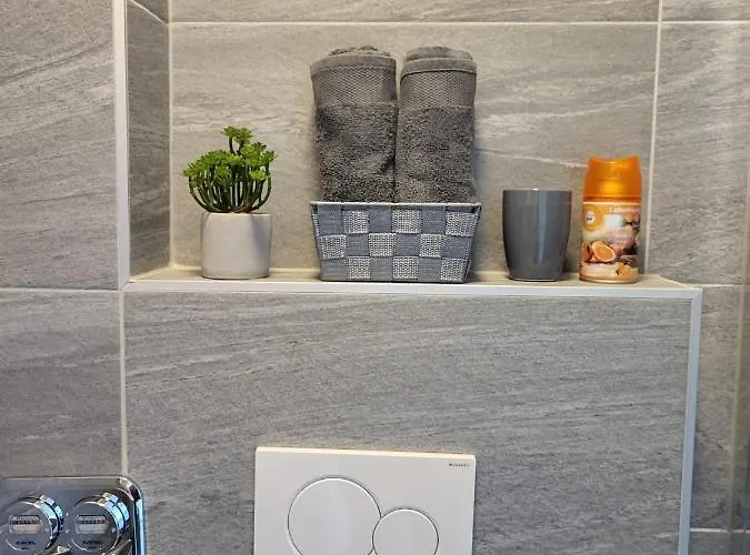 A Comfortable And Modern Newly Renovated Mannheim